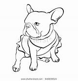 Bulldog French Pages Coloring Color Getcolorings Printable Colouring Getdrawings sketch template