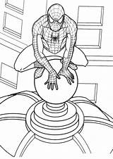 Spiderman Ausmalen Superheroes Boek Bladzijden Kleuren Arana sketch template