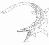 Mosasaurus Jurassic Jw Kiley Mosasaurs sketch template