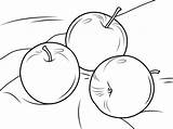 Mele Apples Stampare sketch template