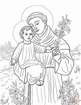 Anthony Coloring St Padua Pages Clipart Saint Printable Timothy Paul Assisi Supercoloring Francis Aquinas Thomas Kids Color Clipground Drawing Catholic sketch template