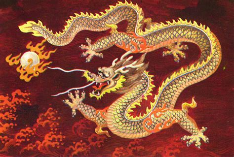 chinese dragons draconika