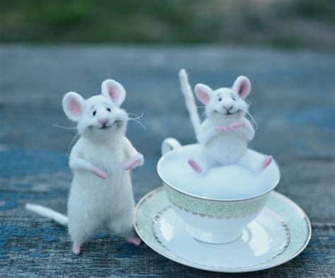 Made To Order White Mice Mouse In The Cup Cute Mouse Mouse On The