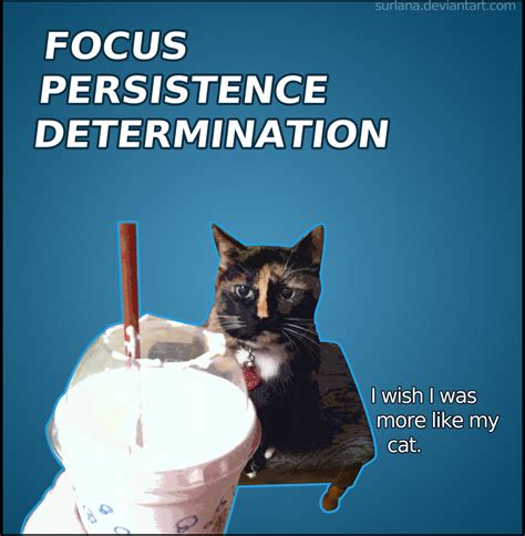 cat motivational poster  surlana  deviantart