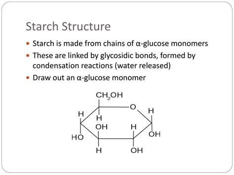 starch glycogen  cellulose powerpoint