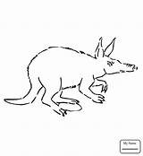 Aardvark Coloring Pages Getcolorings Awesome sketch template