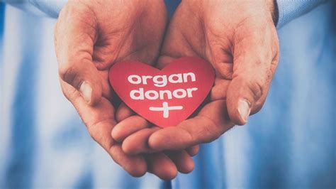What Organs Can Be Donated New Health Advisor