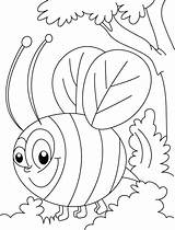 Mewarnai Lebah Paud Bees Coloring4free Playgroup Mecs Ayo Macam Aneka Temukan Bestcoloringpages sketch template