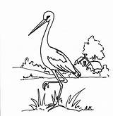 Bociany Stork sketch template