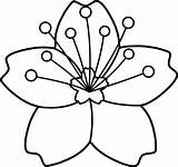 Outline Flower Simple Clipart Flowers Clip Line Blossom Library Cherry sketch template