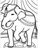 Elefant sketch template