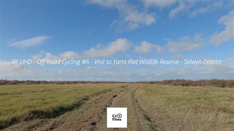 uhd  road cycling  canterbury  visit  yarrs flat wildlife reserve selwyn