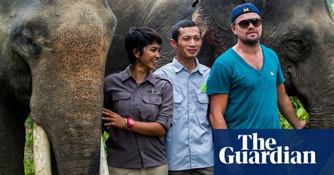 Leonardo Dicaprio Travels To Sumatra To Support Rainforest Conservation