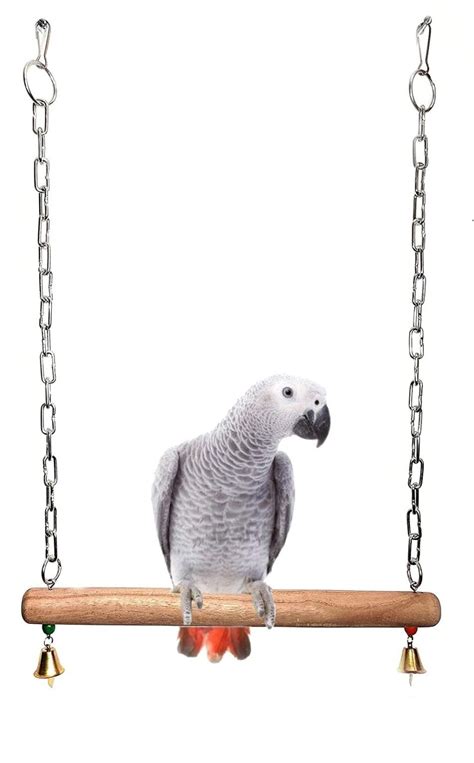 wooden swing  large parrots  african grey macaw cockatoo hyacinth macaw eclectus