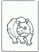 Rinoceronte Neushoorn Kleurplaat Nashorn Dieren Dierentuin Jetztmalen Zoológico Malvorlagen Advertentie Anzeige Nukleuren Pubblicità sketch template