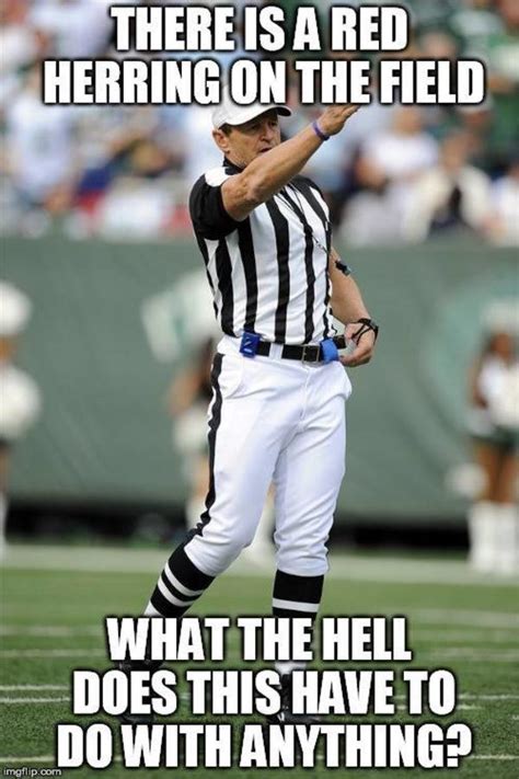 red herring logical fallacy referee   meme
