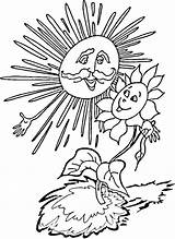Colorat Soarelui Floarea Colorir Girasole Girassol Soarele Girasol Planse Stampare Soare Desenhos Fise Disegnare sketch template