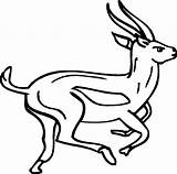 Antelope Coloring Running Getcolorings sketch template