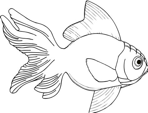 fish drawings images clipart  clipart