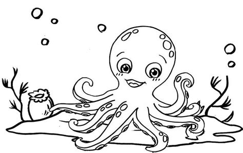 top ten funny octopus coloring pages  kids coloring pages