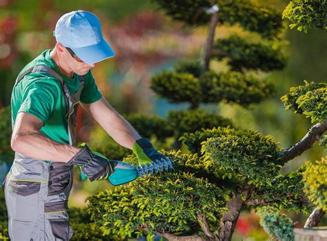 gardener prices uk gardening services costs checkatrade blog