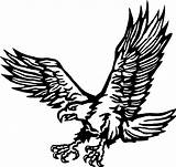 Aguila Eagle Aigle Adler Shaheen águila Printablefreecoloring Coloreardibujosgratis Hierba Pasto águilas Colorea Beak sketch template