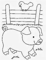 Porco Animais Pintar Porquinho Porcos Cerca Cpu Meus Maio Educação Maternal sketch template