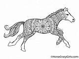 Horse Coloring Pages Drawing Printables Print Pdf Printable Horsecrazygirls Gorgeous Draft Computer Template Open  Just Click Children Paintingvalley sketch template