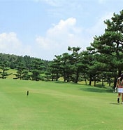 グランドチャンピオンゴルフクラブ に対する画像結果.サイズ: 176 x 185。ソース: www.scom-gm.jp