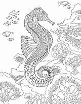 Coloring Sea Seahorse Pages Under Adult Zentangle Printable Therapy Mandalas Ocean Horse Adults Pdf Mandala Detailed Creatures Para Print Dibujos sketch template