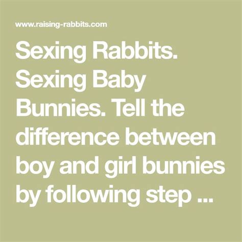 sexing rabbits how to tell male rabbits from female rabbits rabbit