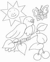 Colorir Natureza Desenhos Passarinhos Passaros Passarinho Pássaros Passaro Educação Onlinecursosgratuitos Oiseau Rieur Meio Goreti Gravuras sketch template