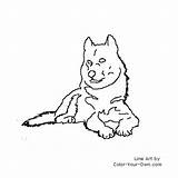 Malamute Coloring Dog Pages Index Own Color sketch template