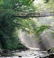 Image result for 福井県今立郡池田町野尻. Size: 175 x 185. Source: urala.today