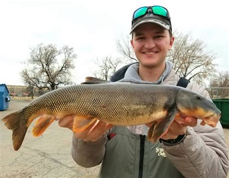 montana state record fish   caught