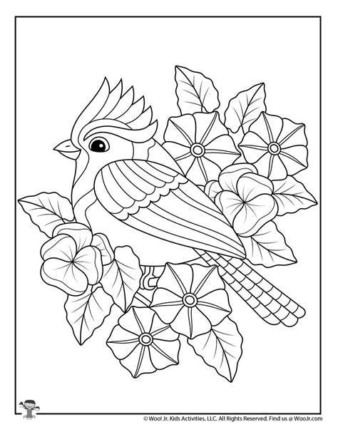 spring blue jay easy adult coloring page woo jr kids activities