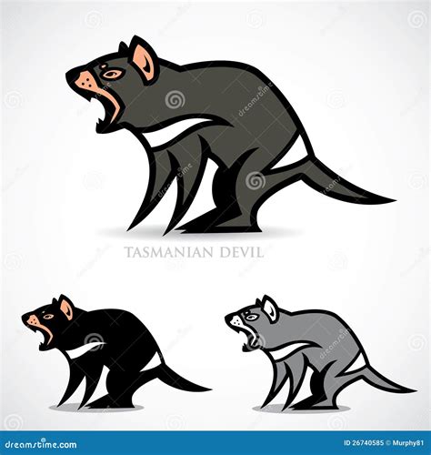 tasmanian devil stock vector illustration  clip australia