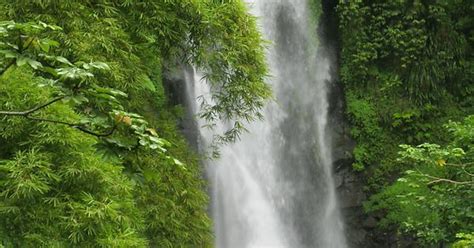 Trafalgar Falls Dominica Imgur