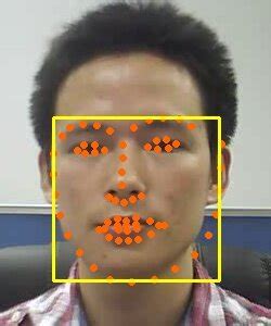 face alignment process    image  left