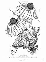 Butterfly Coloring Alphabet Book Tableau Choisir Un Fr Amazon sketch template