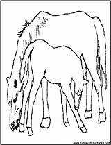 Foal Coloring Horse Pages Mother Its Color Fun Library Clipart Printable Line sketch template