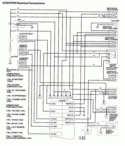 honda accord  wiring diagram
