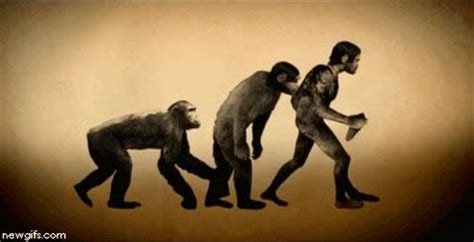 ¡vaya  La Evolución De La Humanidad