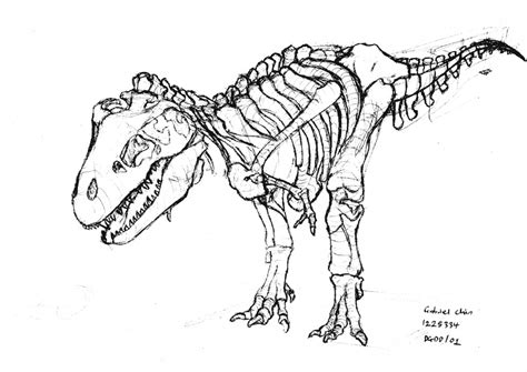 dinosaur bone drawing  getdrawings