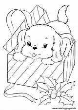 Coloring Puppy Pages Christmas Gift Printable Cute Pup Sheets Coming Print Kids Present Colouring Color Dog Cartoon Colour Prints Book sketch template