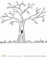 Tree Bare Coloring Pages Colouring Fall Education Trees sketch template
