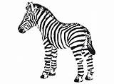 Zebra Coloring Pages Baby Cute Zebras Printable Clipart Cliparts Cartoon Print Head Getcolorings Color 2264 Getdrawings Face Library Favorites Add sketch template