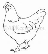 Rooster Huhn Hen Zeichnen Chicks Poule Quilt Fikraborsasi Tieremalen sketch template