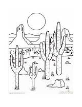 Coloring Deserts Desert Pages Scorching Beauty sketch template