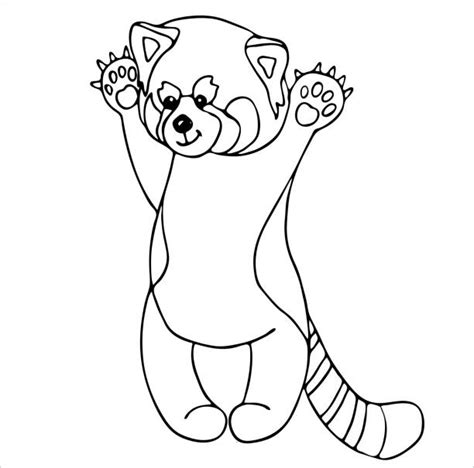red panda  white illustrations royalty  vector graphics clip